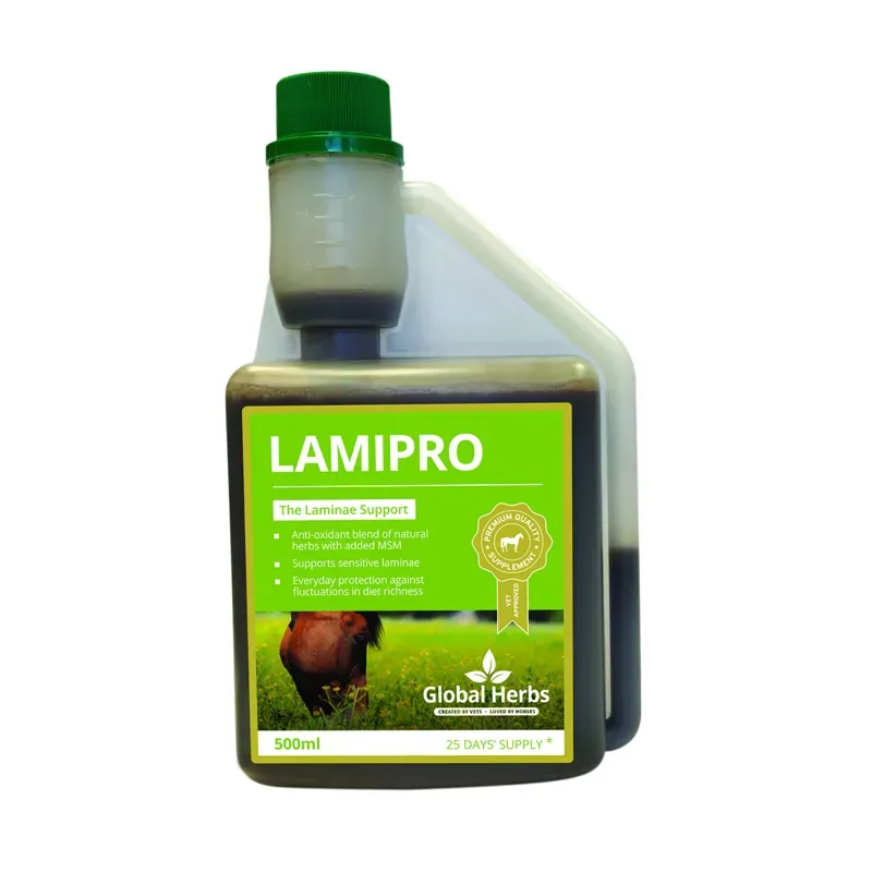 Global Herbs 500ml LamiPro Supplement in Brown