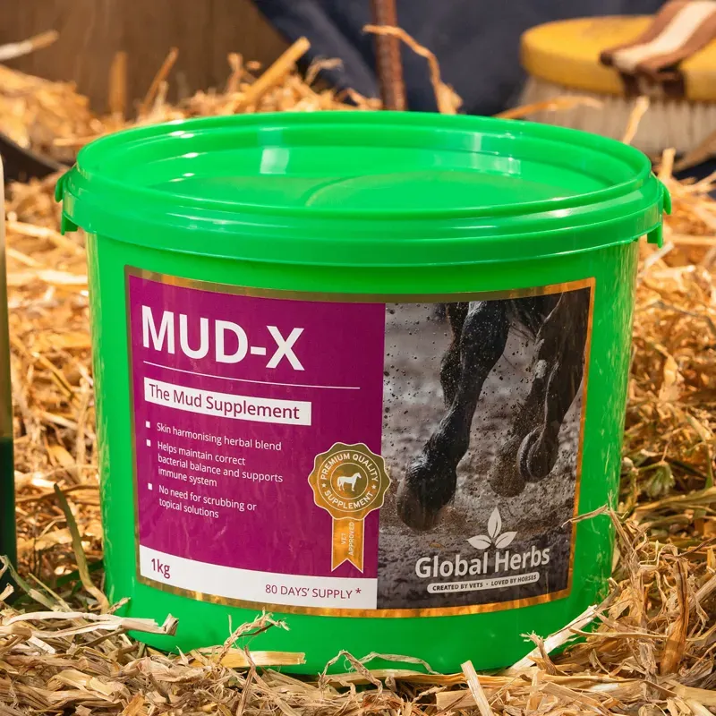 Global Herbs 1kg Mud-X in Brown