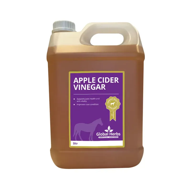 Global Herbs 5lt Apple Cider Vinegar in Orange