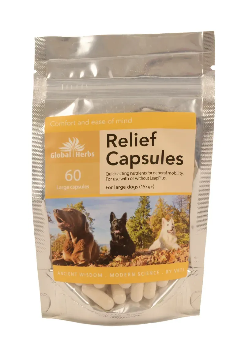 Global Herbs 60 Pack Large Dog Relief Capsules in Brown