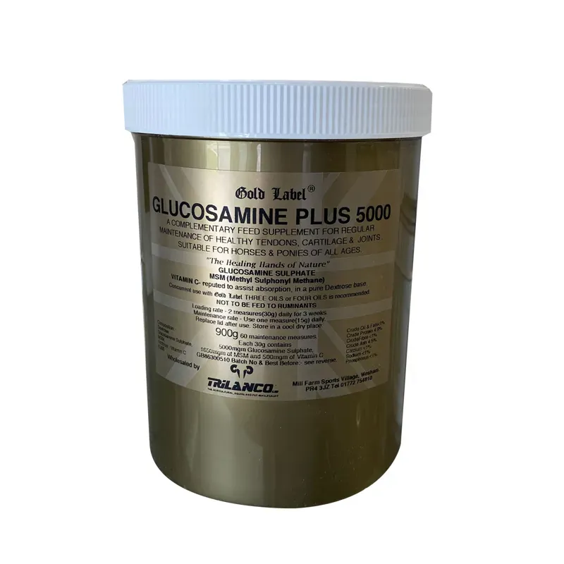 Gold Label 900g Glucosamine Plus 5000 Supplement in Gold