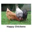 Kevin Milner Countryside Cards in Happy Chickens