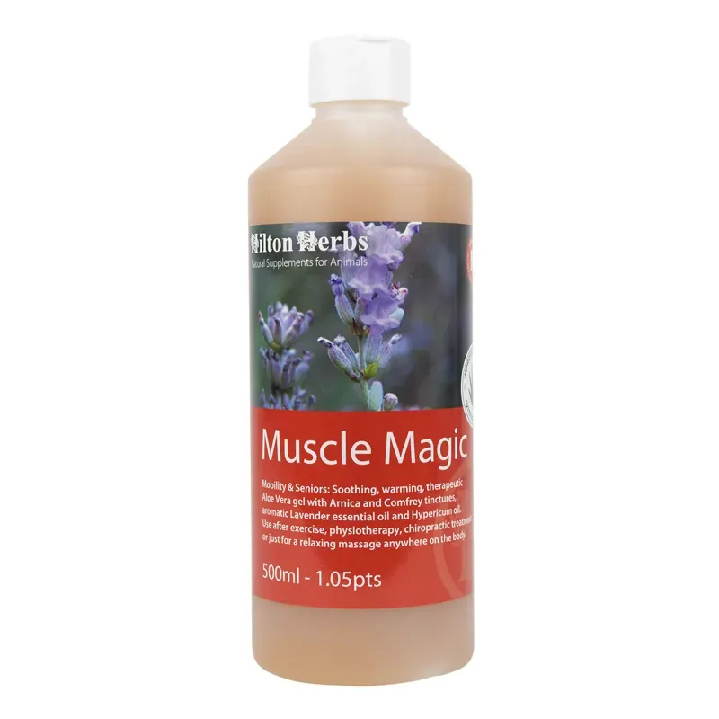 Hilton Herbs 500ml Muscle Magic in White