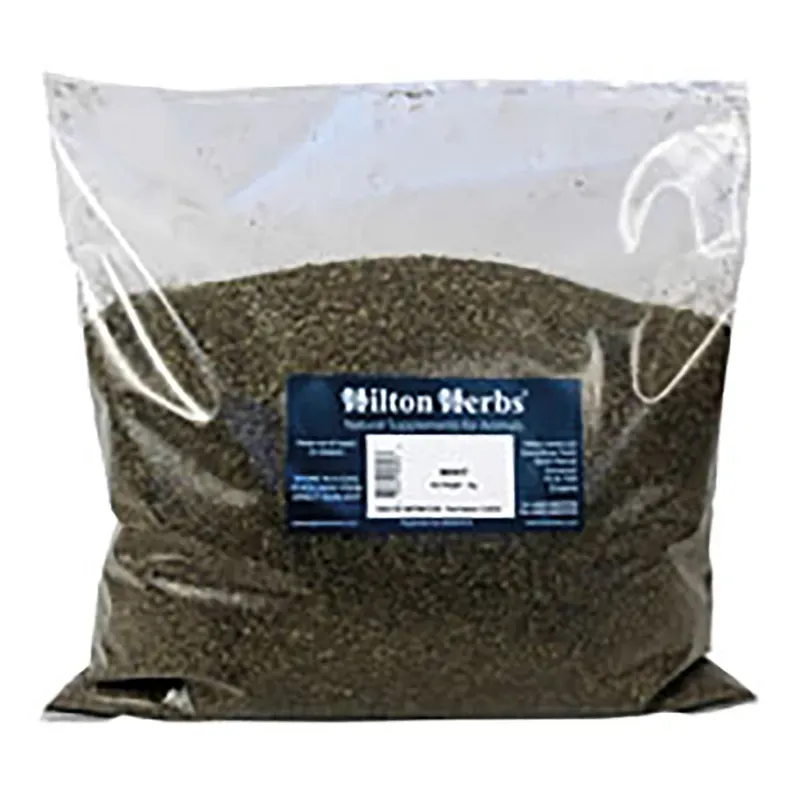 Hilton Herbs 1kg Mint in Brown