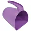 Harold Moore Jug Scoop in Purple