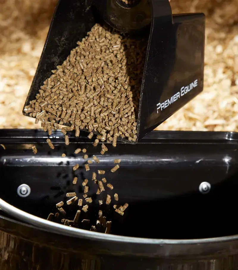 Premier Equine Hook Over Manger in Black-1