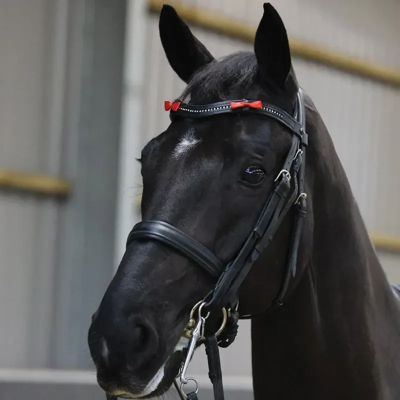 Equetech 4 Horse Bridle Warning Ribbons in Red-2