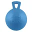 Horsemen's Pride 10-inch Jolly Ball in Blueberry Scented Blue
