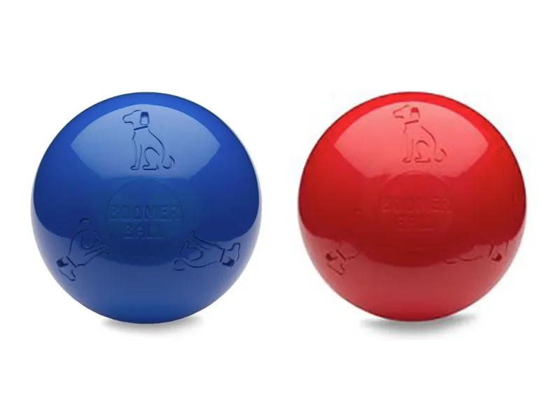 The Company of Animals Boomer Ball - 11cm 4-inch