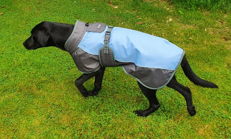 Henry Wag Large 55 Cm Waterproof Dog Coat in Blue