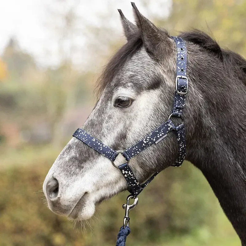 Hy Equestrian Elevate Allure Head Collar and Lead Rope in Navy/Gun Metal Grey-1