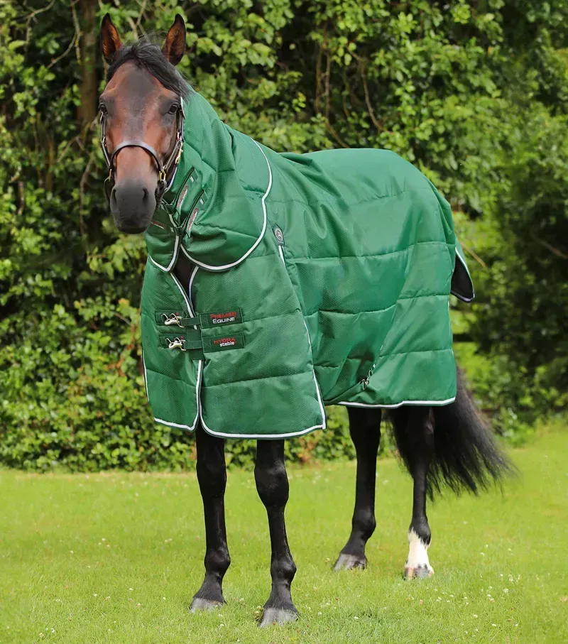 Premier Equine Hydra 200g Stable Rug With Neck Cover in Green