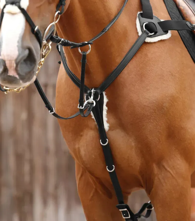 Premier Equine Invorio 5 Point Breastplate in Black-2