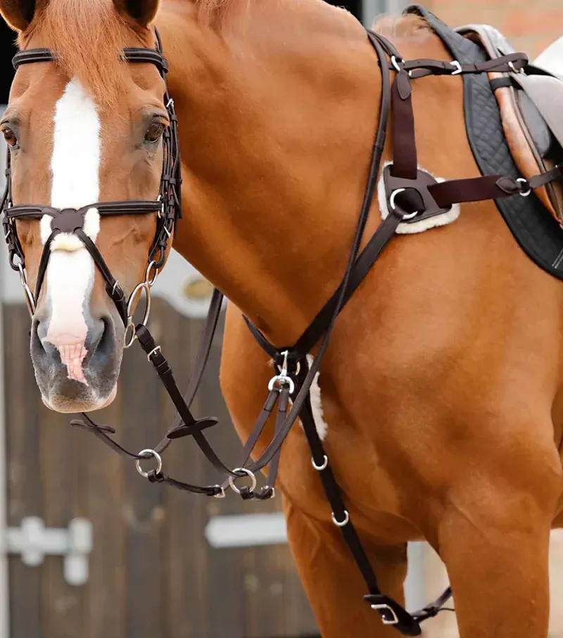 Premier Equine Invorio 5 Point Breastplate in Brown