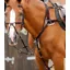 Premier Equine Invorio 5 Point Breastplate in Brown