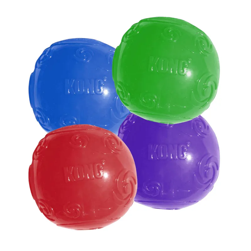 Kong 24-pack Large Squeezz Ball - Assorted Colours