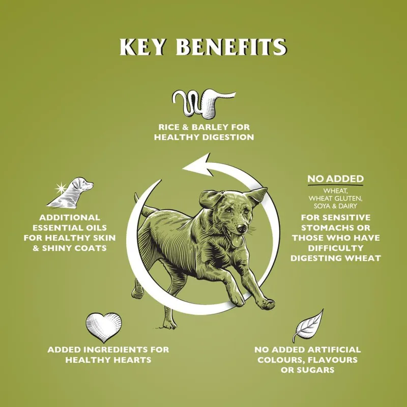 Dr John Hypoallergenic Lamb 12.5kg-4