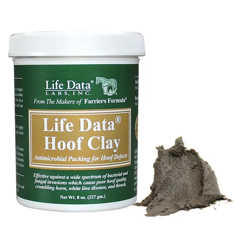 Life Data 284g Hoof Clay