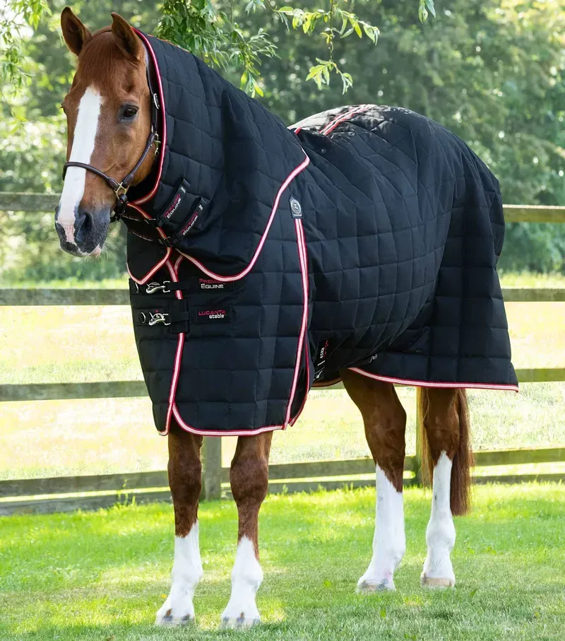 Lucanta 200g Stable Rug With Neck Cover / Black