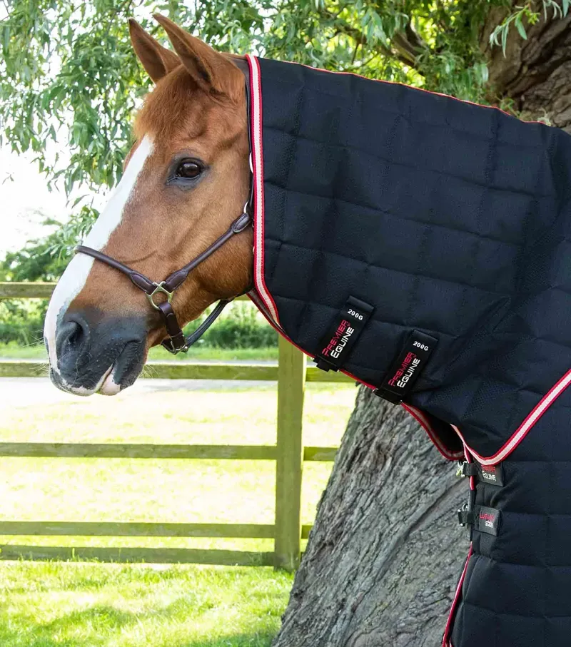 Lucanta 200g Stable Rug With Neck Cover / Black-1