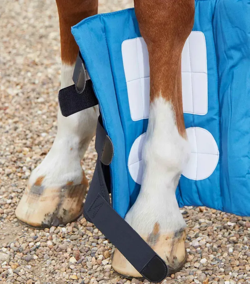 Premier Equine Spare Magni-Teque Boot Wrap Liners in Blue-1