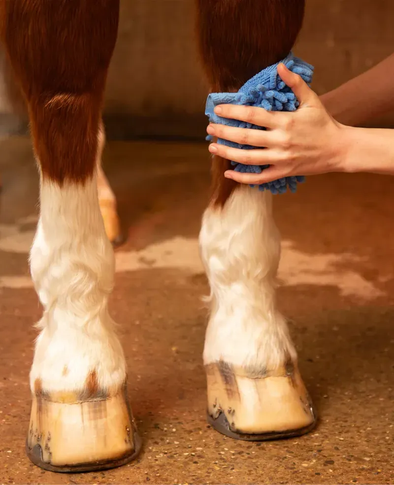 Premier Equine Microfibre Grooming Mitt in Peacock Blue-3