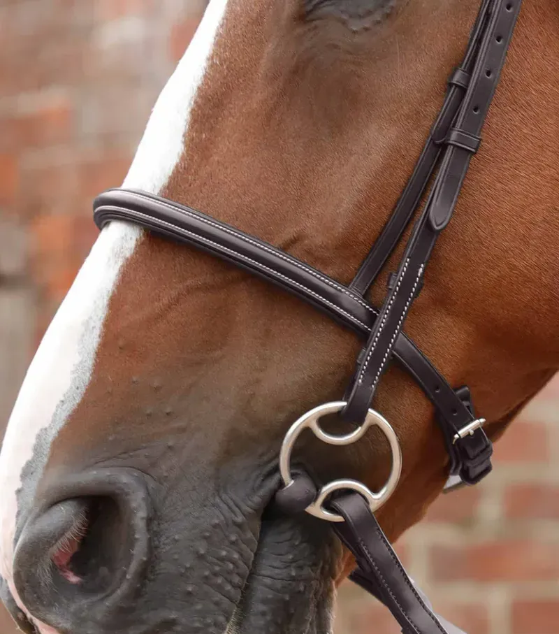 Premier Equine Mossimo Cavesson Bridle in Brown-1