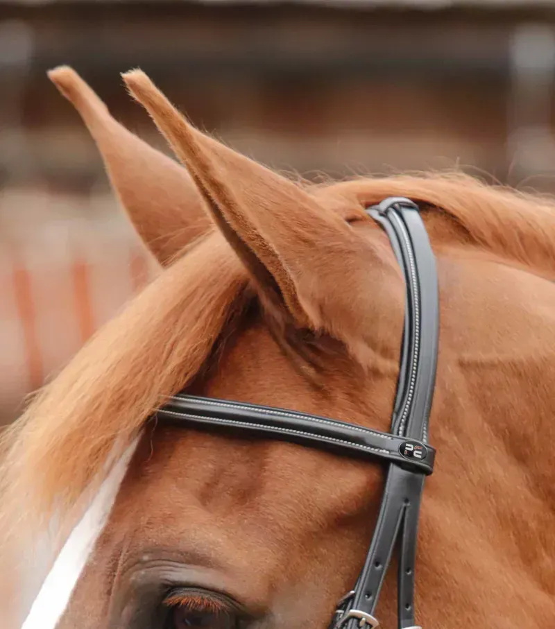 Premier Equine Mossimo Cavesson Bridle in Black-2