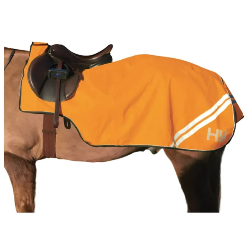 Hy Viz Reflector Exercise Sheet in Orange