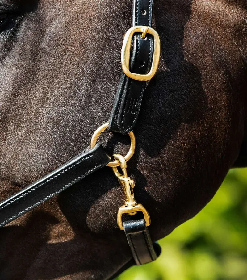Premier Equine Rego Padded Leather Head Collar in Black-1