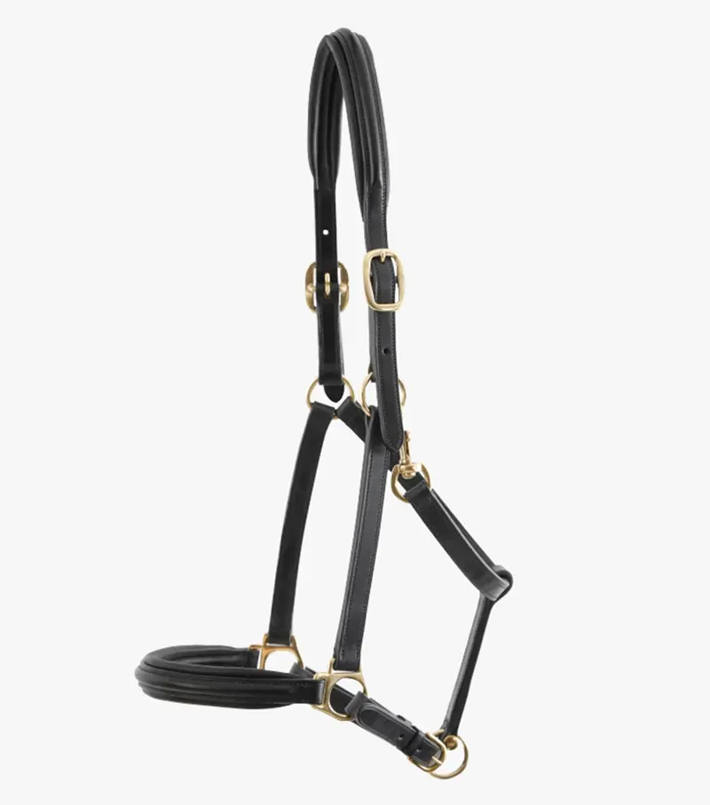 Premier Equine Rego Padded Leather Head Collar in Black-3
