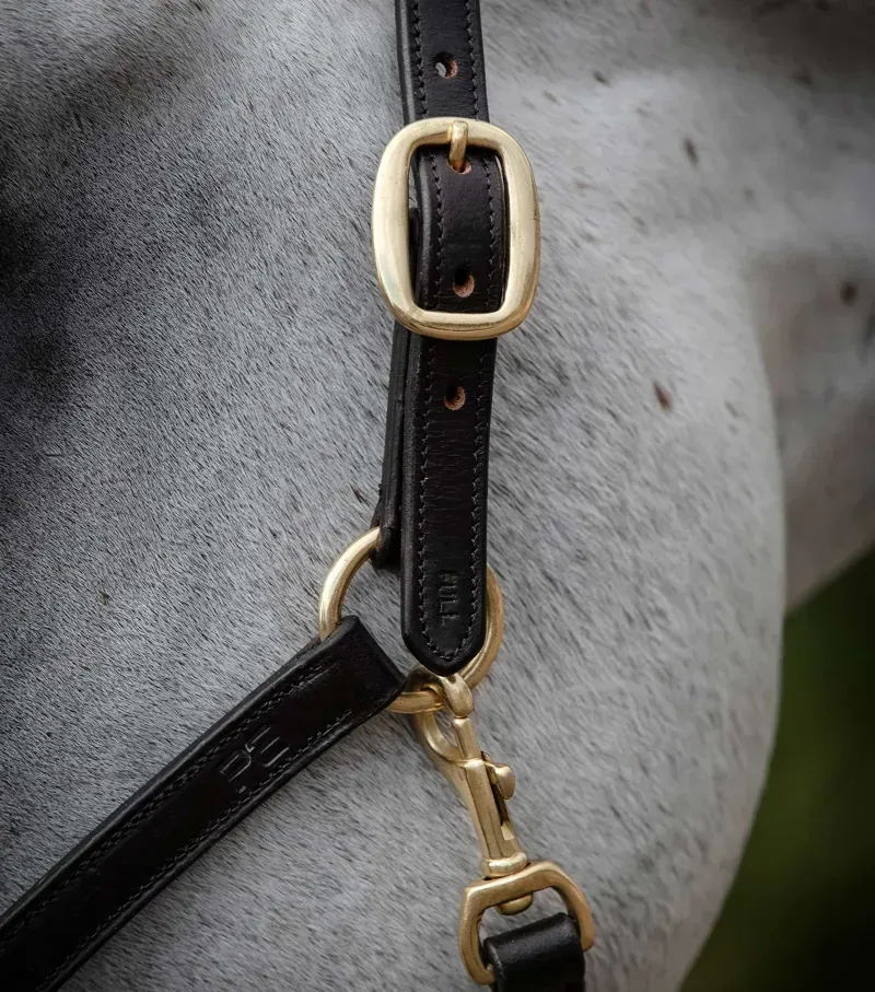 Premier Equine Rego Padded Leather Head Collar in Brown-1