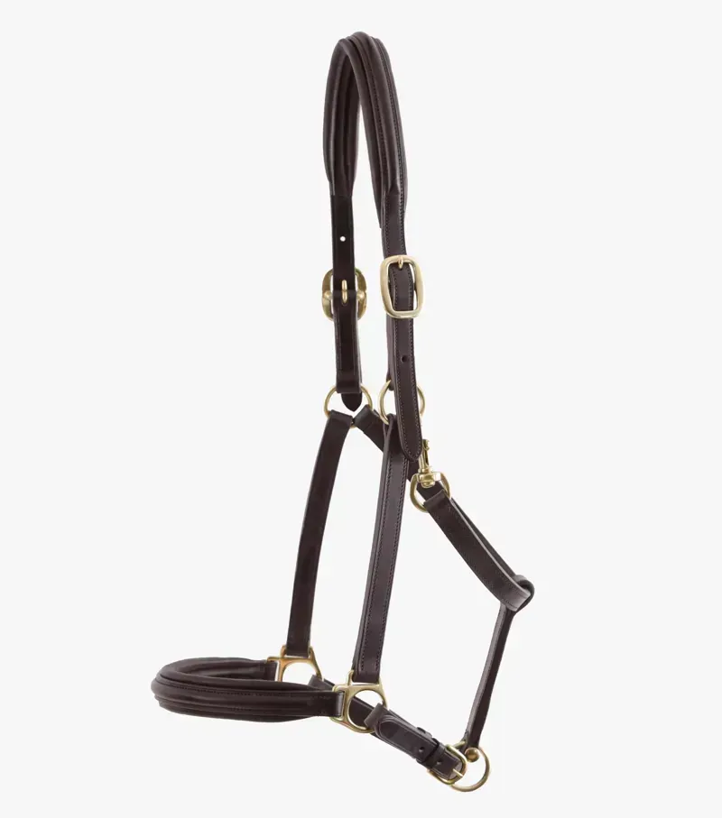 Premier Equine Rego Padded Leather Head Collar in Brown-3