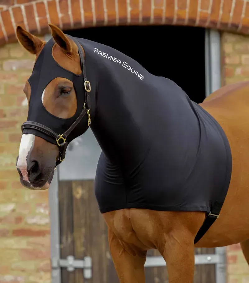 Premier Equine Stretch Lycra Hood in Black