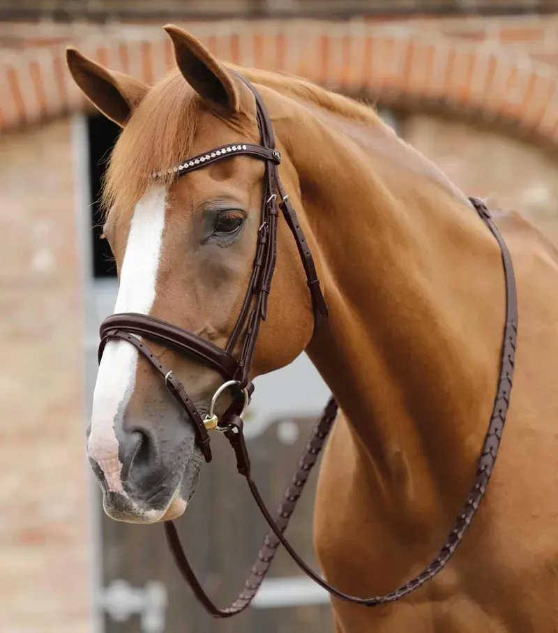Premier Equine 3/4 Pietro Laced Reins in Brown-1