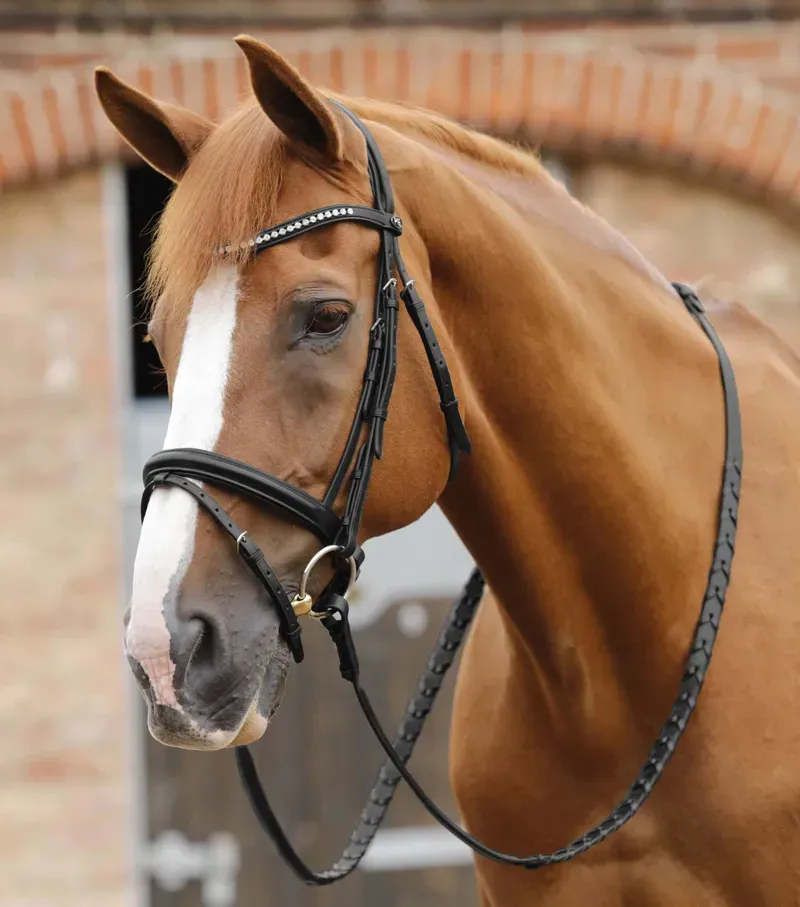 Pietro Laced Reins Black Full