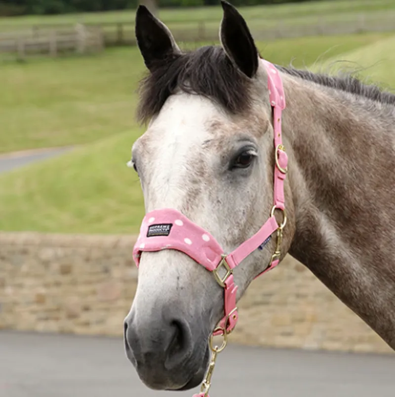 Supreme Products Dotty Fleece Head Collar and Lead Rope in Pretty Pink