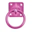 Perry Equestrian Swivel Tie Ring on Plate in Pink