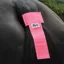 Hy Viz Tail Band in Pink