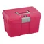 ProTack Medium Grooming Box In Raspberry