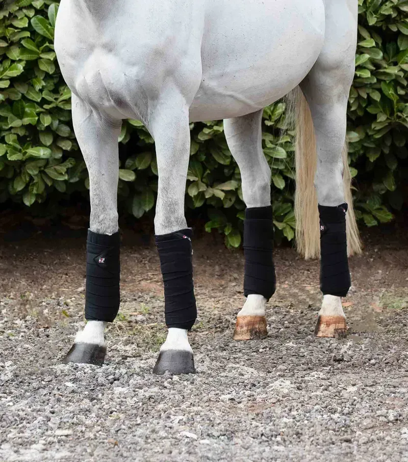 Premier Equine One Size Horse Polo Fleece Bandages in Black-1