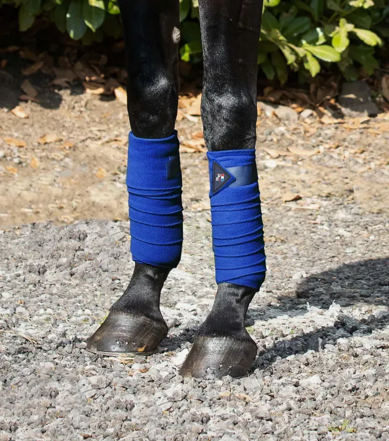 Premier Equine One Size Horse Polo Fleece Bandages in Royal Blue-1