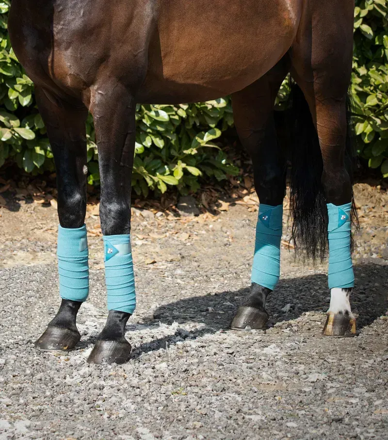 Premier Equine One Size Horse Polo Fleece Bandages in Turquoise-1