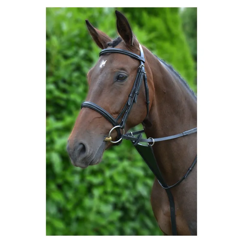 Hy Bib Martingale in Black