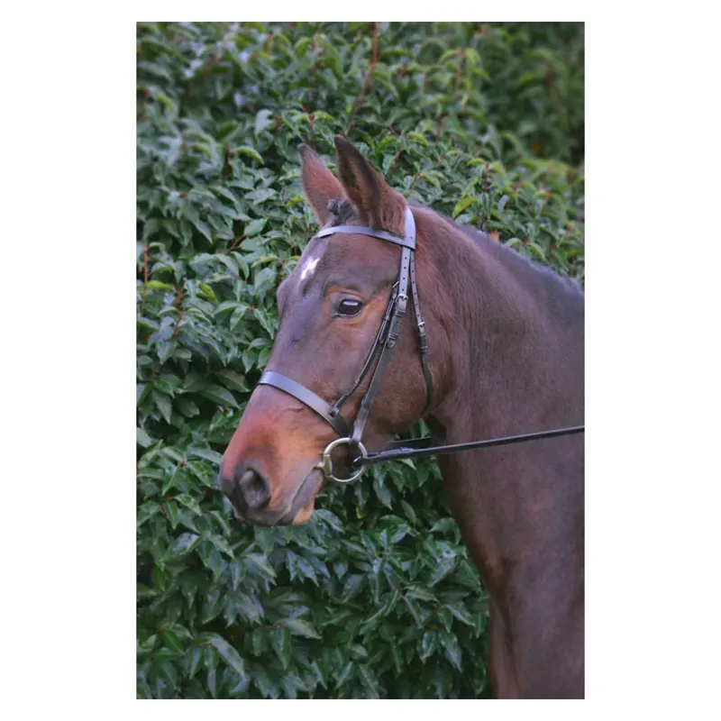 Hy Hunter Bridle With Rubber Grip Reins in Brown
