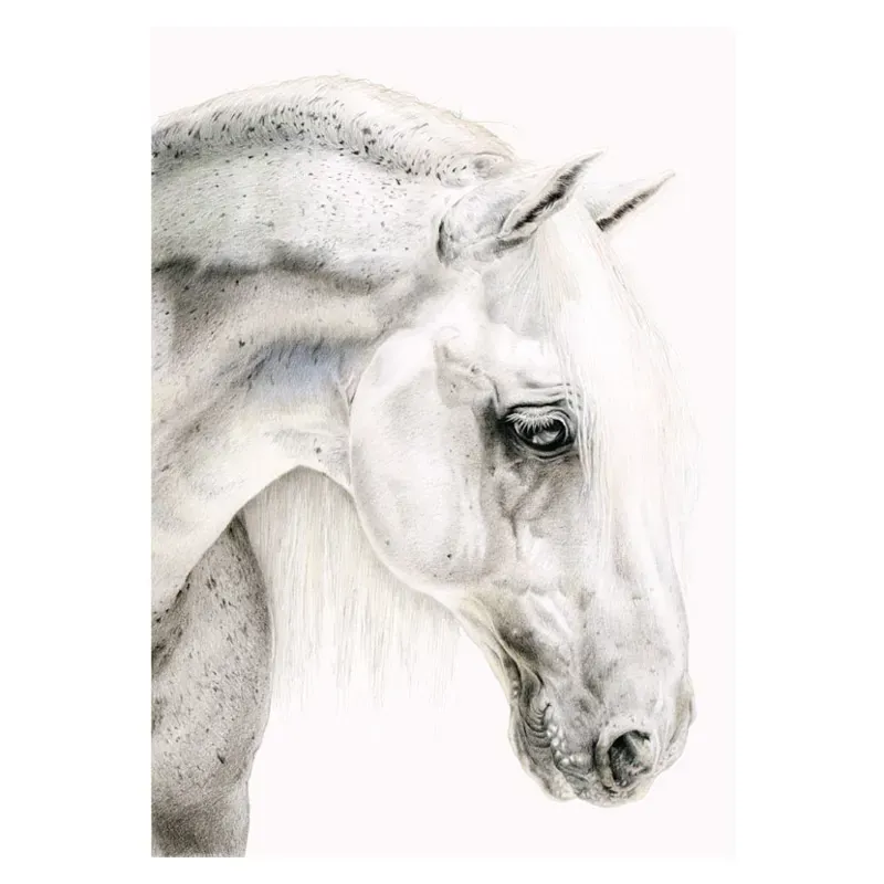 Deckled Edge Eureka Card - Flea Bitten Grey