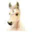 Deckled Edge Eureka Card - Uni- Foal Uni-Foal