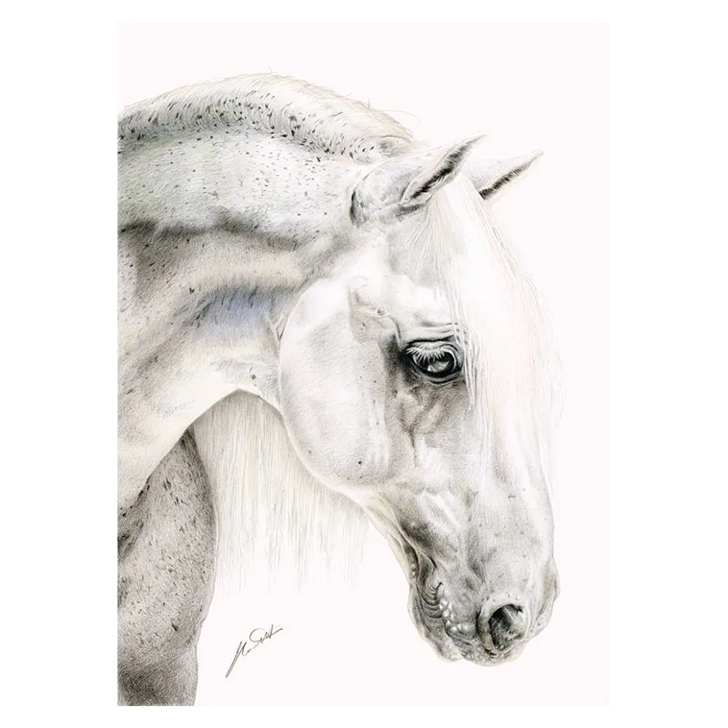 Deckled Edge Eureka Print - Flea Bitten Grey