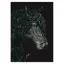 Deckled Edge Eureka Print - The Friesian