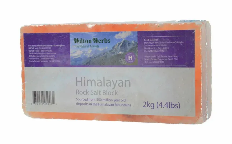 Hilton Herbs 2kg Salt Block